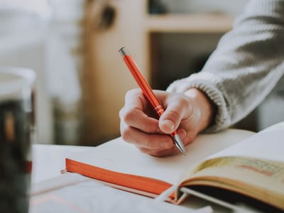 Business Owner's Diary: 5 Months of Uncensored Updates